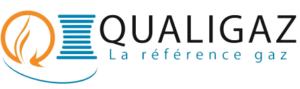 Logo Qualigaz removebg preview